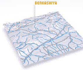 3d view of Ben Kashiya