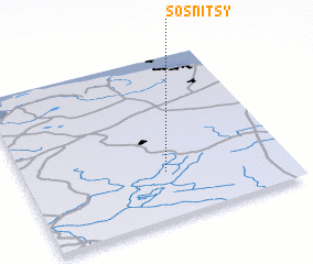 3d view of Sosnitsy