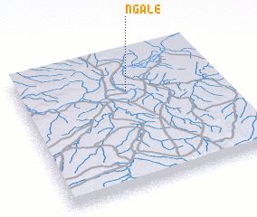 3d view of Ngale