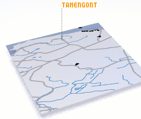 3d view of Tamengont