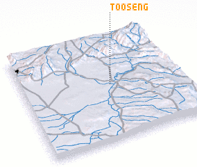 3d view of Tooseng