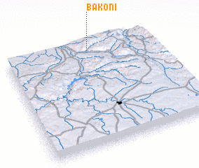 3d view of Bakoni