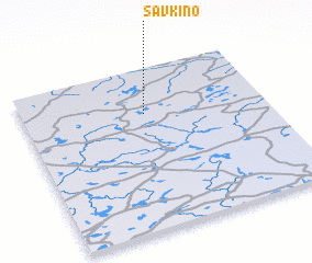 3d view of Savkino