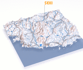 3d view of Seki