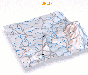3d view of Dalia