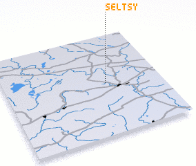 3d view of Selʼtsy