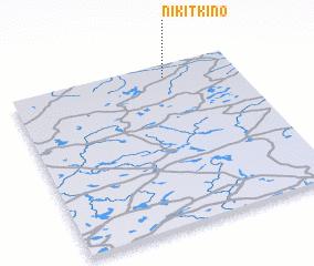 3d view of Nikitkino