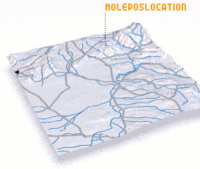 3d view of Molepos Location