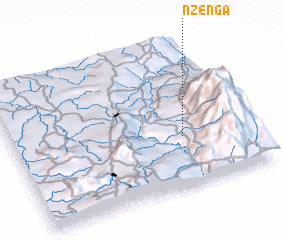 3d view of Nzenga