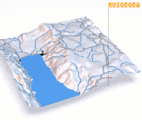 3d view of Musorora