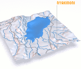 3d view of Nyakinoni