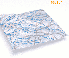 3d view of Polela