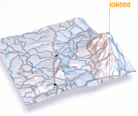 3d view of Kihoko