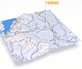 3d view of Tambwe