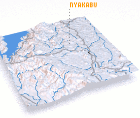 3d view of Nyakabu