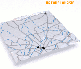 3d view of Matokslokasie