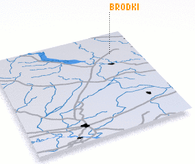 3d view of Brodki