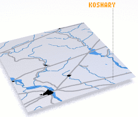 3d view of Koshary