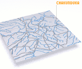 3d view of Chakunduka