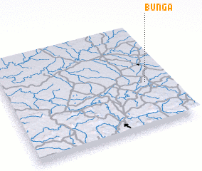 3d view of Bunga