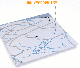 3d view of Malyye Bornitsy