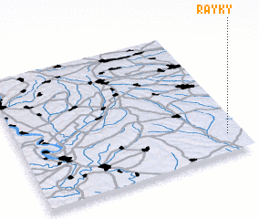 3d view of Rayky