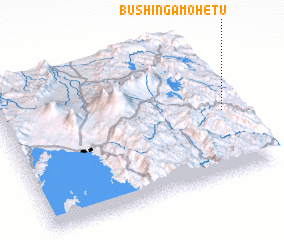 3d view of Bushingamohetu