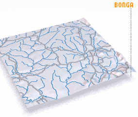 3d view of Bonga