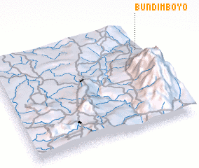 3d view of Bundimboyo