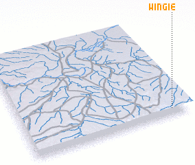 3d view of Wingie