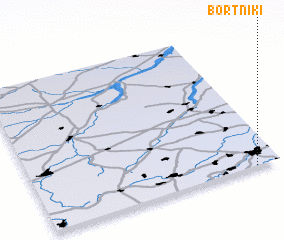 3d view of Bortniki