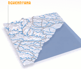 3d view of Ngwemnyama