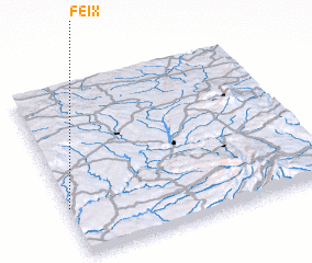 3d view of Feix