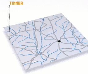 3d view of Timmba
