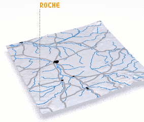 3d view of Roche