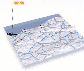 3d view of Hamma