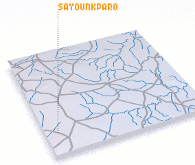 3d view of Sayounkparo