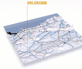 3d view of Ouled Saïd