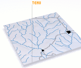 3d view of Temu