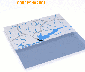 3d view of Cokers Market