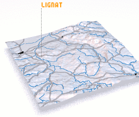 3d view of Lignat