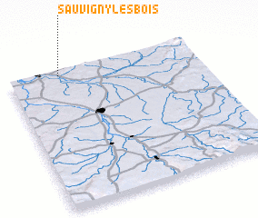 3d view of Sauvigny-les-Bois