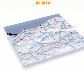 3d view of Nahata