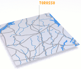 3d view of Torosso