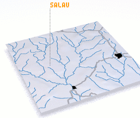 3d view of Salau