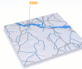 3d view of Koki