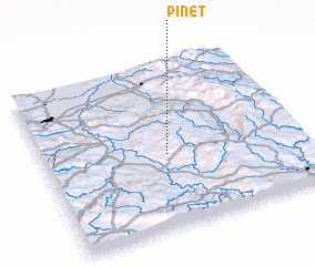 3d view of Pinet
