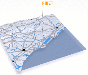 3d view of Pinet