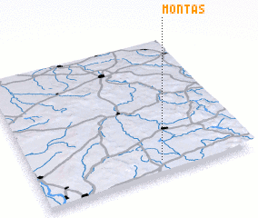 3d view of Montas