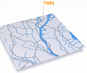 3d view of Timba